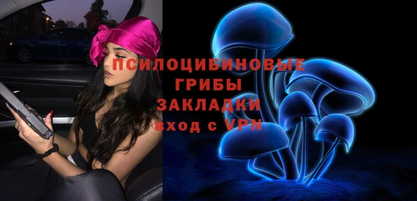 ГАЛЛЮЦИНОГЕННЫЕ ГРИБЫ Арсеньев