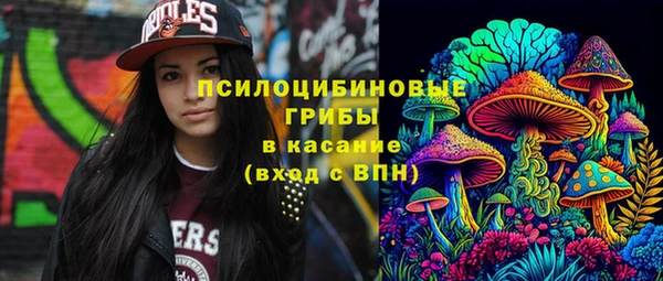 ГАЛЛЮЦИНОГЕННЫЕ ГРИБЫ Арсеньев