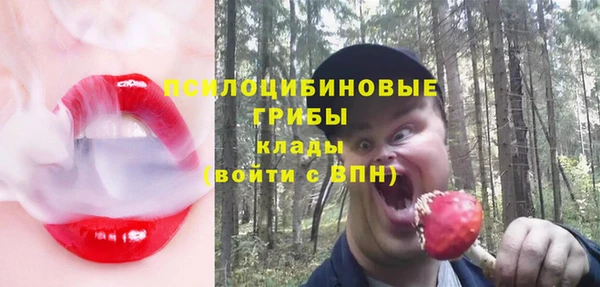 ГАЛЛЮЦИНОГЕННЫЕ ГРИБЫ Арсеньев