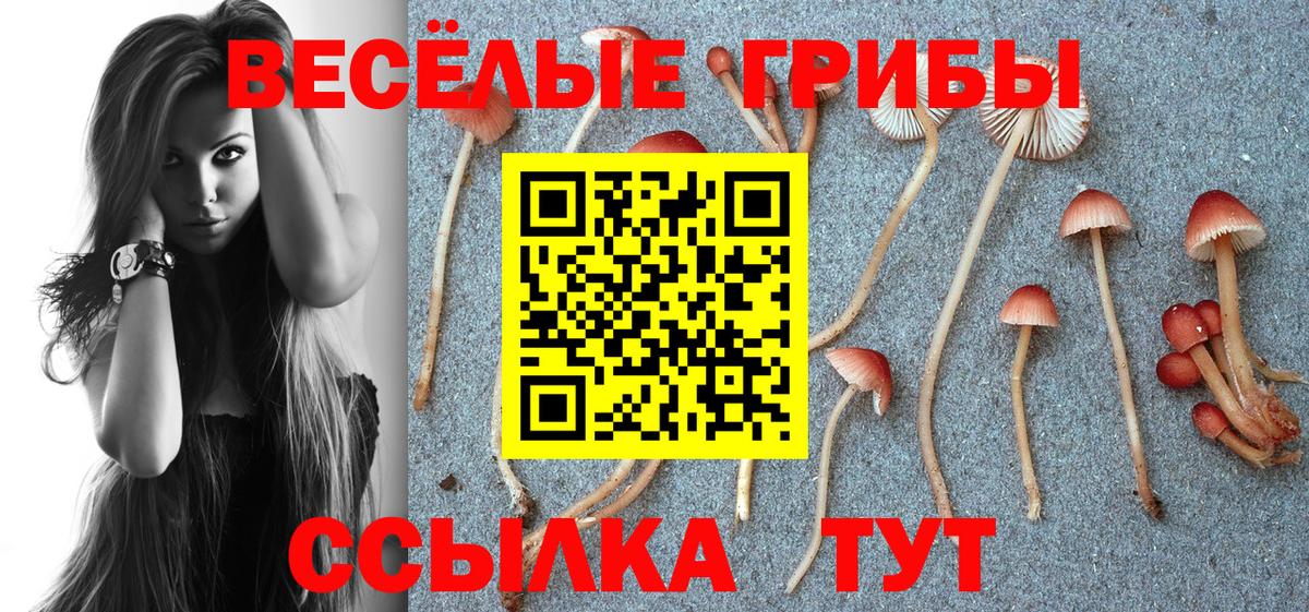 Псилоцибиновые грибы Psilocybine cubensis  Вход с VPN  Коркино 