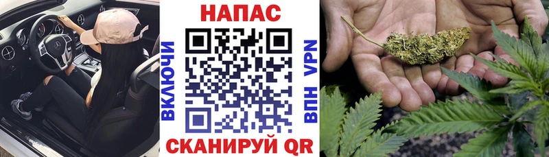 Каннабис план  дарк нет клад  Коркино 